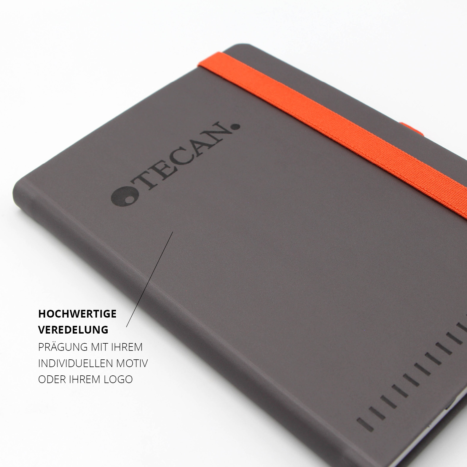 Detailansicht der dezenten Logo-Prägung von Tecan auf dem grauen Cover des Lanybook® Nature.